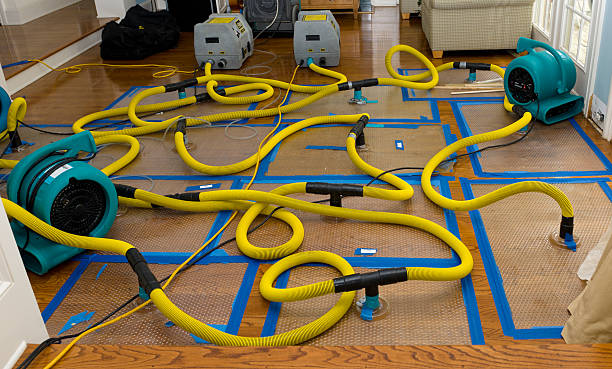 Professional Water Extraction technician working in Decaturville, TN